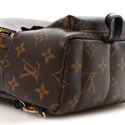 Monogram Palm Springs Backpack Mini