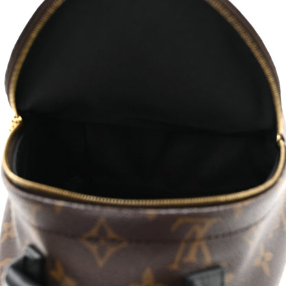Monogram Palm Springs Backpack Mini