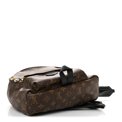 Monogram Palm Springs Backpack MM