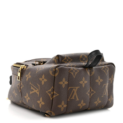 Monogram Palm Springs Backpack Mini