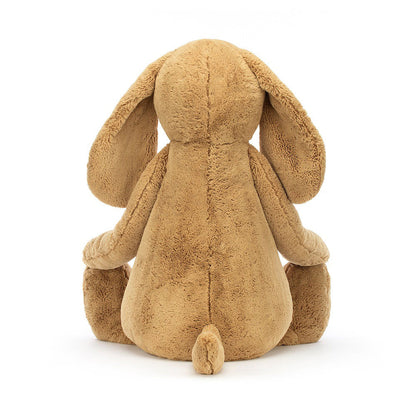 Bashful Toffee Puppy