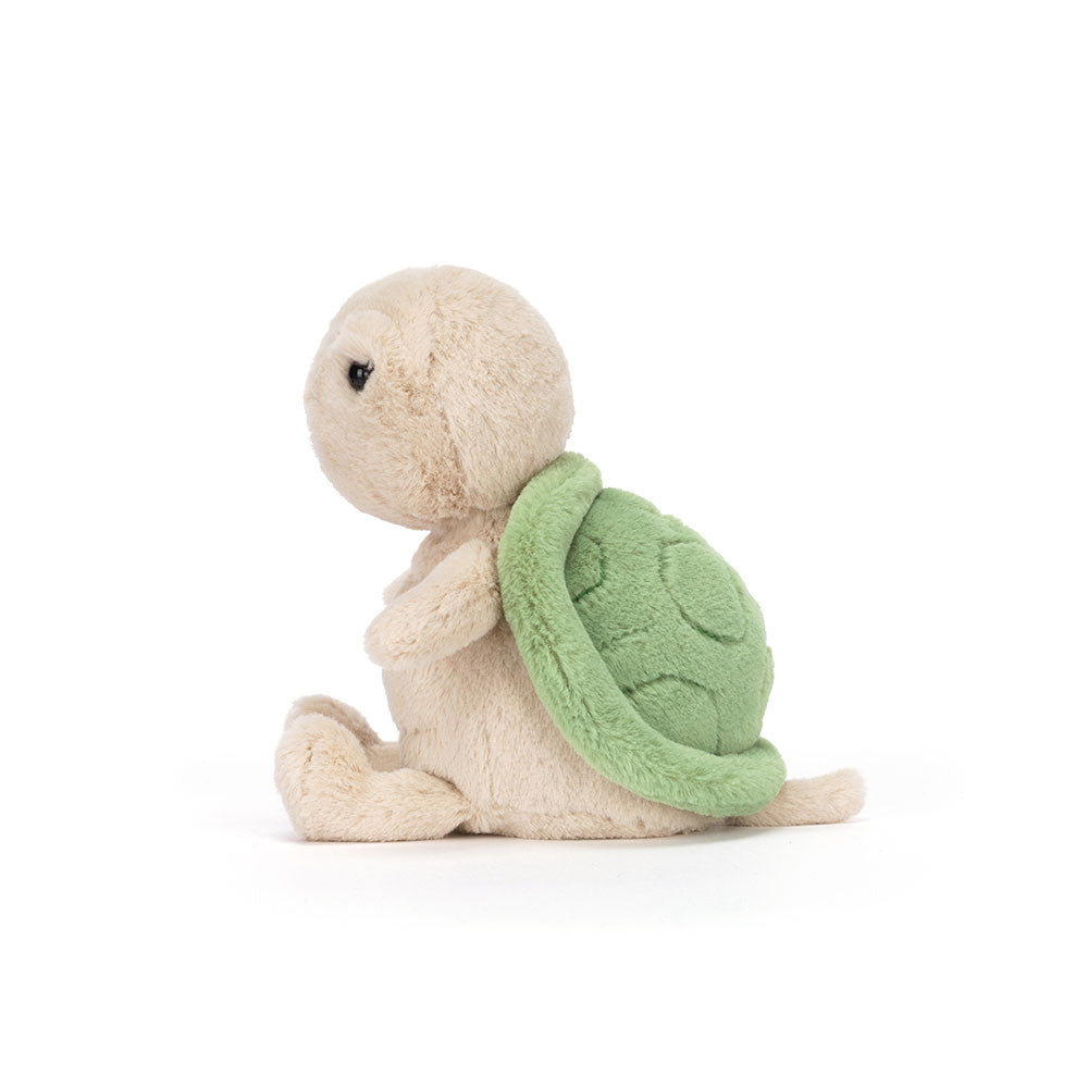 Thimble Turtle