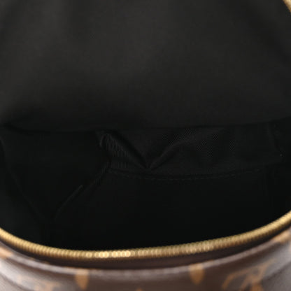 Monogram Palm Springs Backpack Mini
